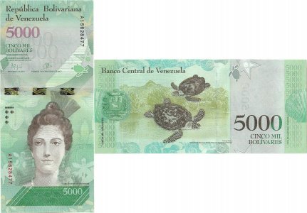 2016 (18 August), 5,000 Bolívares (P-97a.1) - Venezuela
