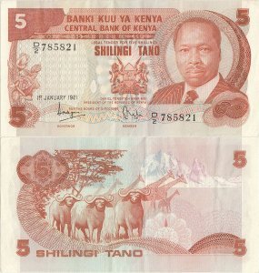 1981 (1 Ianuarie), 5 shillings (P-19a) - Kenya